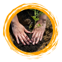 Plantation Work